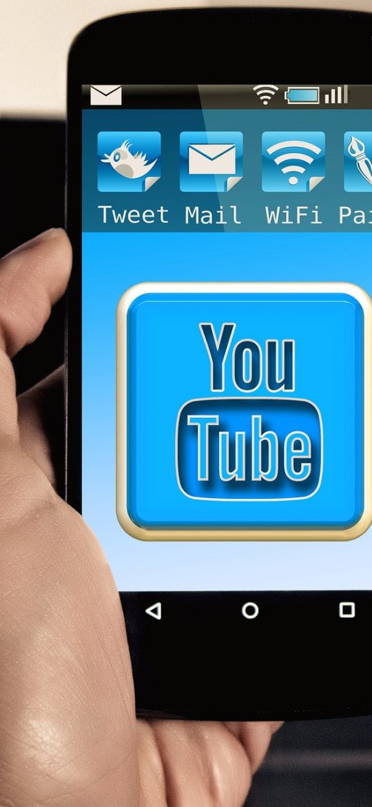 hdt团子 App 图文对照界面截图，手机屏幕上半部分为图片、下半部分为说明文字，手指正在进行双指缩放操作